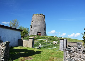 Melin Maengwyn with resident sheep