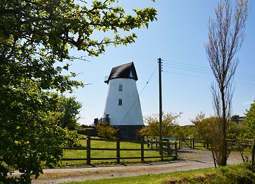 Melyn y Bont in spring