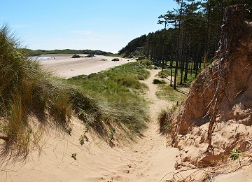 Sand dune erosion is a contant problem