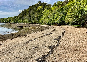 Pwllfanogl beach and beach path