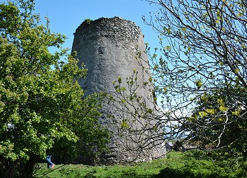 Rear of Melin Maengwyn sheltered by trees