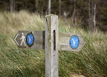 Anglesey Coastal Path sign in Newborough forest