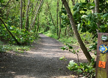 Holyhead coastal park path in summer