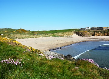 Stunning cable bay with flowers on path
